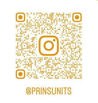 Prins Units