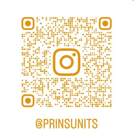 Prins insta